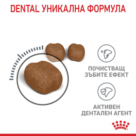 Royal Canin Dental - Суха храна за поддържане на добра устна хигиена и намаляване образуването на зъбен камък при котки